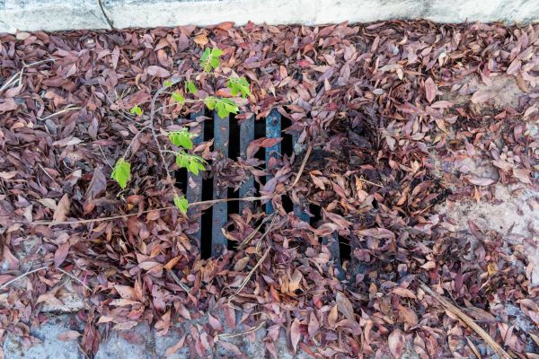 Cost of Yard Drain Unclogging in Toledo
